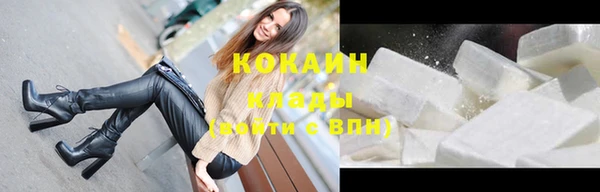 сатива Кулебаки