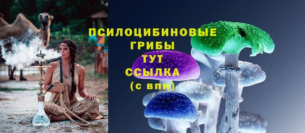 тгк Алексин