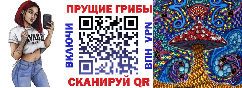 shop формула  Торопец  Псилоцибиновые грибы MAGIC MUSHROOMS 
