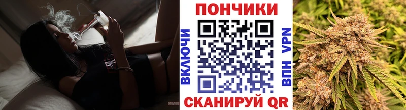 дарк нет наркотические препараты  где продают   Торопец  Бошки Шишки план 